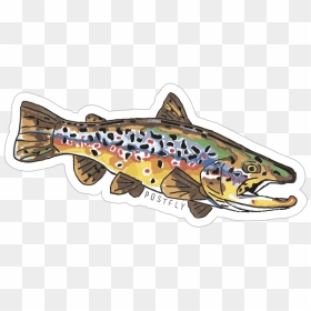 Postfly Artsy Fly Fishing - Fly Fishing Stickers Trout, HD Png Download - trout png