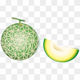 Melon Vector Png, Transparent Png - cantaloupe png