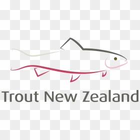 Tnz Web Logo, HD Png Download - trout png