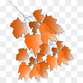 Scalable Vector Graphics, HD Png Download - autumn png