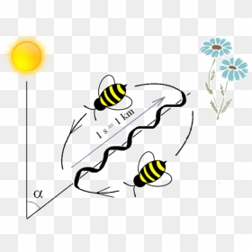 Bee - Bee Dance Clip Art, HD Png Download - honey bee png