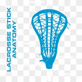 Parts Of A Lacrosse Stick - Girls Lacrosse Clipart, HD Png Download - lacrosse stick png