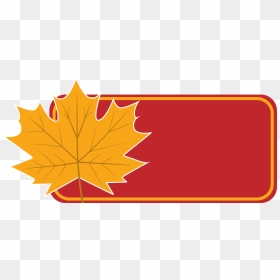 Maple Leaf, HD Png Download - autumn png