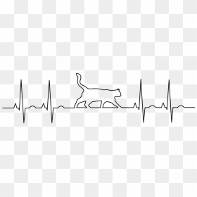 Anatomy Aorta Cat Dog, HD Png Download - ekg png