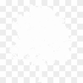 Thumb Image - Illustration, HD Png Download - white tree png