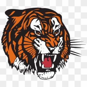 Medicine Hat Tigers Logo, HD Png Download - tiger paw png