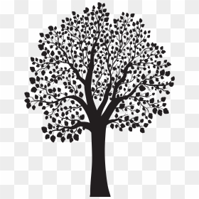 White Tree Png, Transparent Png - white tree png