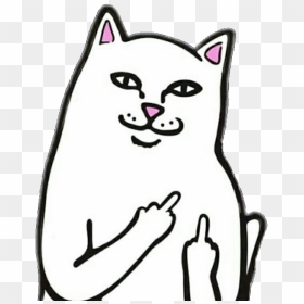 Transparent Black And White Cat Png - Fuck You Cat Meme, Png Download - white cat png