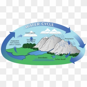 Water Cycle In Coral Reefs, HD Png Download - falling rain png