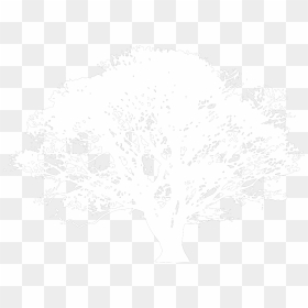 Black And White Tree Svg Clip Arts - Kayu Malam Production, HD Png Download - white tree png