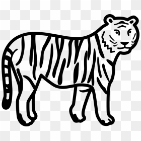 Simple Easy Tiger Drawing, HD Png Download - tiger stripes png