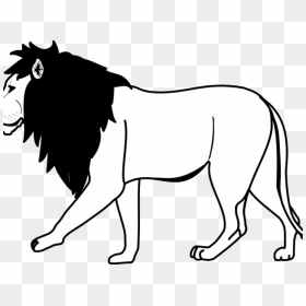 Mountain Lion Clipart Lion Body - Lion Clipart Black And White, HD Png Download - mountain lion png