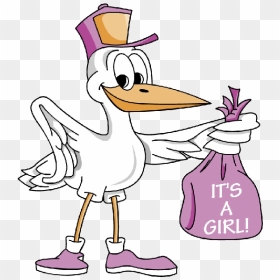 Stork Carrying Baby Girl 4 600×600 Pixels - Bird Its A Girl, HD Png Download - it's a girl png