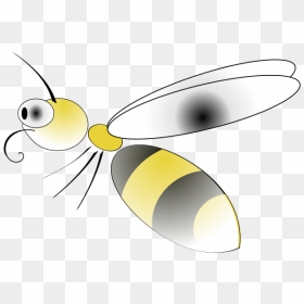 Honeybee, HD Png Download - bee clipart png