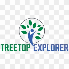 Picture - Graphic Design, HD Png Download - trees top view png