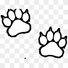 White Tiger Clipart Tiger Paw - Clip Art Tiger Paws, HD Png Download - tiger paw png