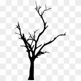 Transparent Background Dead Trees Clipart, HD Png Download - white tree png