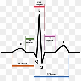 Pqrst - Normal Sinus Rhythm, HD Png Download - ekg png