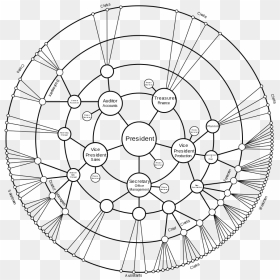 Radial Tree, HD Png Download - trees top view png