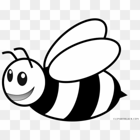 Bees Clipart Outline - Outline Of Honey Bee, HD Png Download - bee clipart png