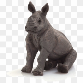 Baby Rhino Png Pluspng - Rhino Sitting, Transparent Png - black baby png