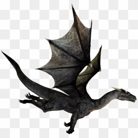 Flying Dragon No Background , Png Download - Dragon With No Background, Transparent Png - flying dragon png