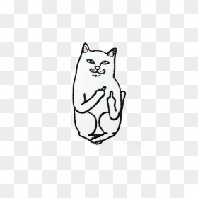 Transparent White Cat Png - Cartoon Cat Flipping Off, Png Download - white cat png