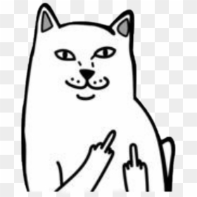 #cat #fuck #hand #sticker #white #black #aesthetic - Transparent Cat Middle Finger, HD Png Download - white cat png