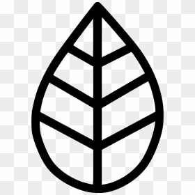 Leaf Autumn, HD Png Download - autumn png
