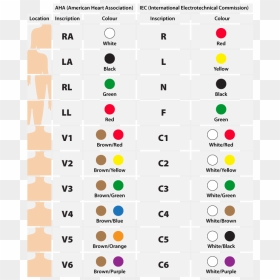 12 Lead Ecg Placement, HD Png Download - ekg png