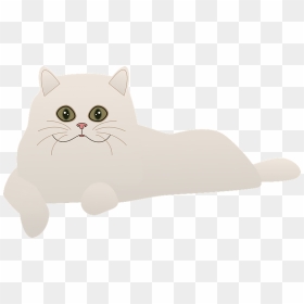 White Cat Clipart - Domestic Short-haired Cat, HD Png Download - white cat png