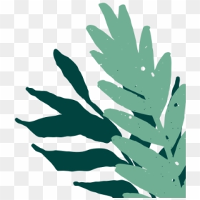 Illustration, HD Png Download - trees top view png
