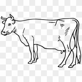 Cow - Cow Black And White Clipart Png, Transparent Png - cow head png