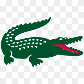 Crocodile Background Png - Crocodile Lacoste Logo Png, Transparent Png - crocodile png