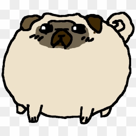 Adorable Fat Pug - Draw A Fat Pug, HD Png Download - pug face png