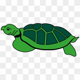 Animal Reptile Tortoise Turtle Tortoise To - Turtles Shell, HD Png Download - tortoise png