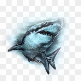 Transparent Jaws Clipart - Great White Shark, HD Png Download - jaws png