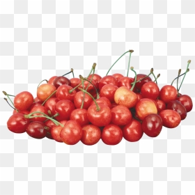 Transparent Cherries Png - 新鲜 水果, Png Download - cherries png