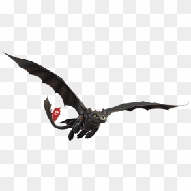 Train Your Dragon Hiccup Flying Toothless, HD Png Download - flying dragon png