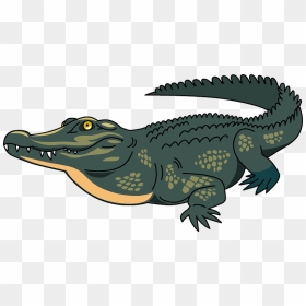 Crocodile Clipart, HD Png Download - crocodile png