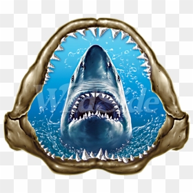 Great White Shark, HD Png Download - jaws png