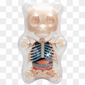 Gummi Bear Skeleton Transparent, HD Png Download - gummy bear png
