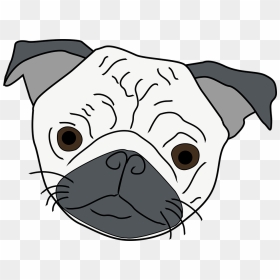 Companion Dog, HD Png Download - pug face png