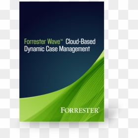 Dynamic Case Management Report - Flyer, HD Png Download - www png