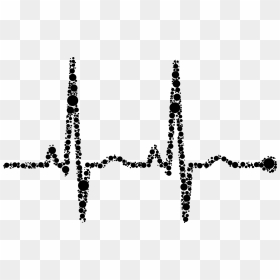Line,tree,plant - Portable Network Graphics, HD Png Download - ekg png