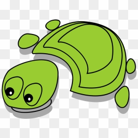 Green Tortoise - Tortoise Cartoon, HD Png Download - tortoise png