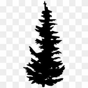 Evergreen Tree Pine Clip Art - Black And White Pine Tree Clip Art, HD Png Download - evergreen png