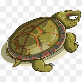 Turtle Busy, HD Png Download - tortoise png