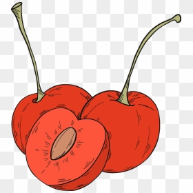 Cherries Clipart, HD Png Download - cherries png
