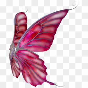 Thumb Image - Mariposa Wings, HD Png Download - mariposa png